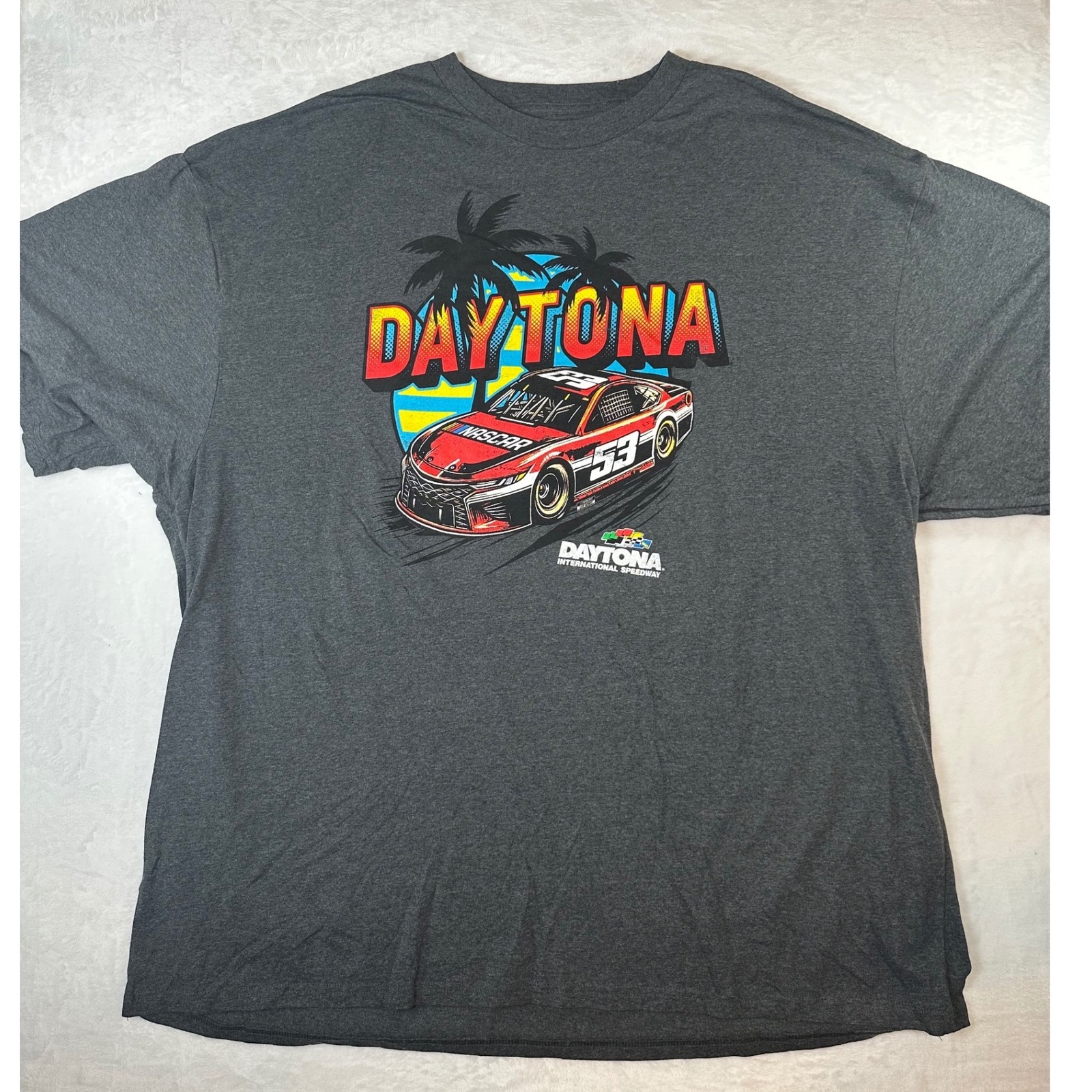 Nascar Daytona International Speedway Graphic TShirt Mens 5xlt Grey Nwot